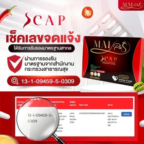 �ٻ�Ҿ���4 �ͧ�Թ��� : MaiPlus Scap (������� ���᤻)